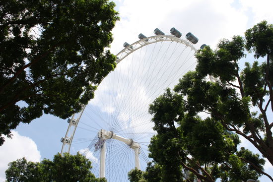 Singapore Flyer
