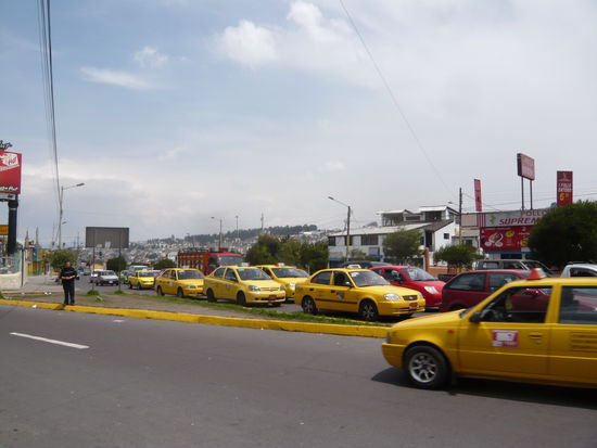 muchos, muchos Taxis