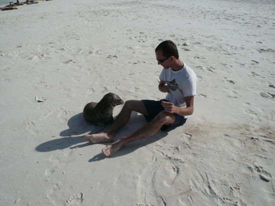 Hallo wehr isch daenn da?