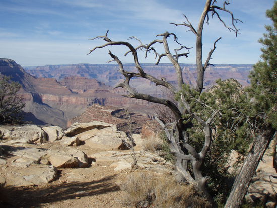 dazu faellt mir nix ein.