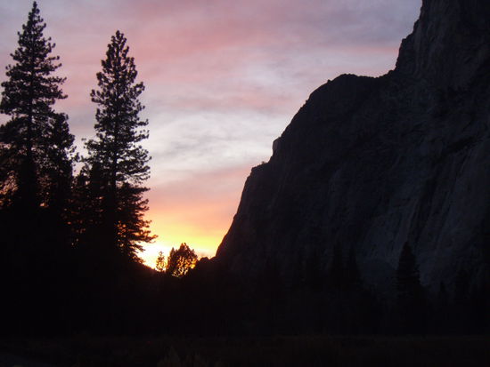 The Nose Warum wohl?