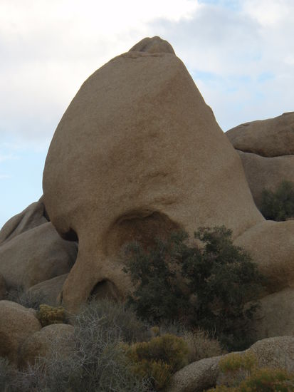 Skull Rock9aber a spitziges Hinterkoepfchen hat er schon 