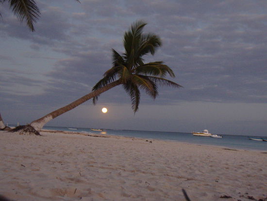keine Sonne. das ist der Vollmond!