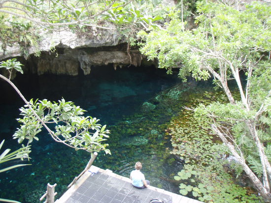 Eine kuehle Oase mit Frischwasser.