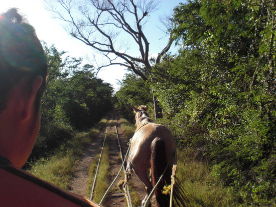unser Motor zu den Cenoten