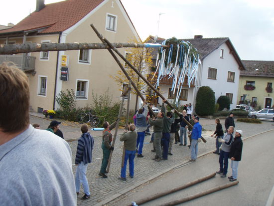 Der "Kerwabaum" wird noch von Hand aufgestellt.