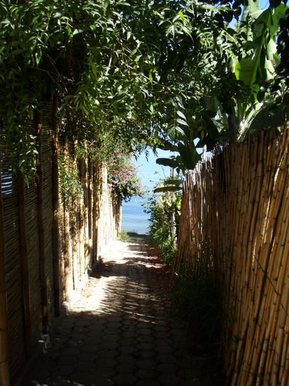 schoene einsame Wege