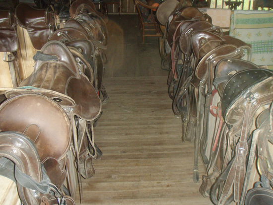 auf der Farm von Alonsos Onkel