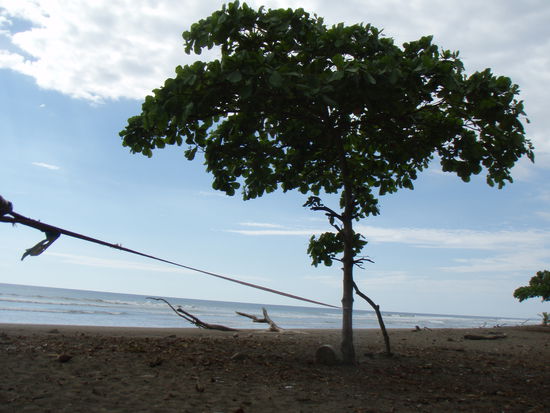 Slacklinen am Pazifik