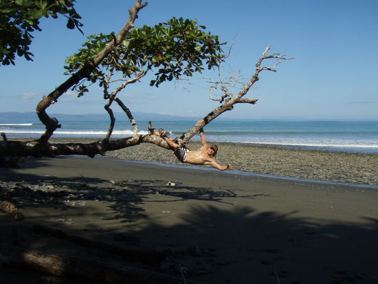 Pavones Beach(inkl. mir)