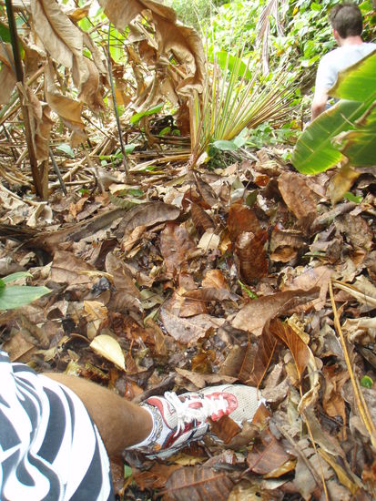 Laubsurfing. War gut steil, gut rutschig, gut spassig!