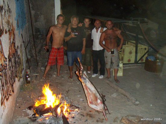 Y and Friens. Die Dudes aus dem Hostel. Fischer Surfer Lebensgeniesser