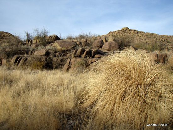wunderschoene Steppenoase