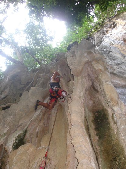 Ein schoener Kamin im Jungel