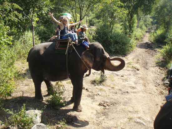 Toeroe!!!!Um los geht´s mit Benjamin Blümchen durch den Dschungel!