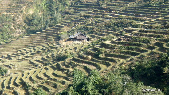 was da an arbeit drin steckt die Reisfelder zu erstellen!