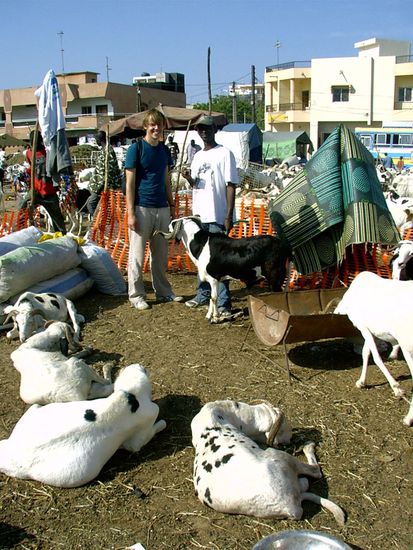 Stefan und Papa mit den Tabaski-Schafen
