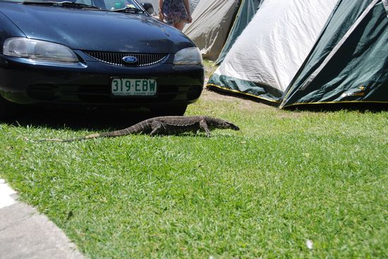 Kein schönes Bild aber mal zum Grössenvergleich