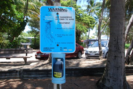 Warntafel vor Quallen mit Essigflasche