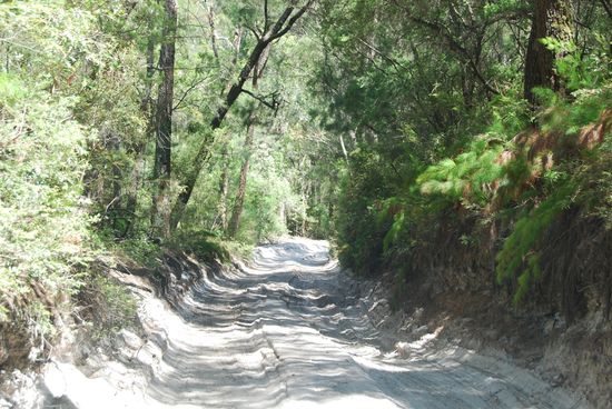 "Strasse" auf Fraser Island