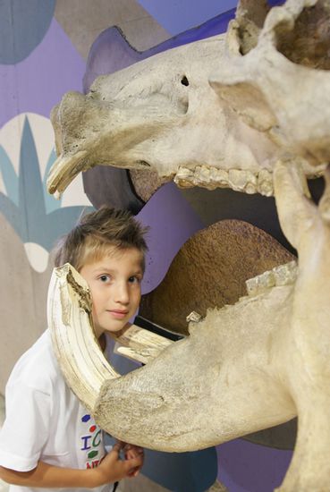 Manchmal wuerde der Dino den kuerzeren ziehen bei seiner "grossen Klappe"