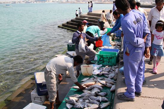 Der taegliche fischmarkt an der Corniche- direkt vom Boot!