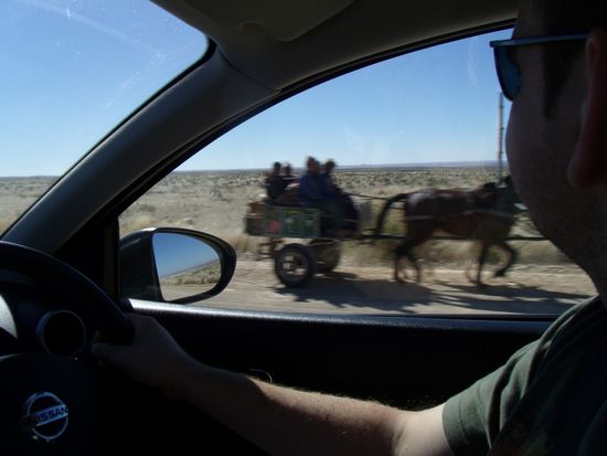 Fortbewegungsmittel 2 (Esel)