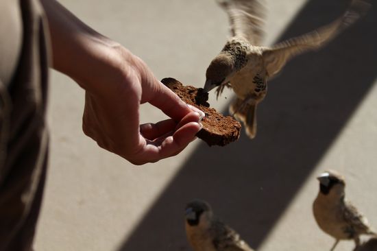 Und hier schon wieder zu Hause zum Grillen