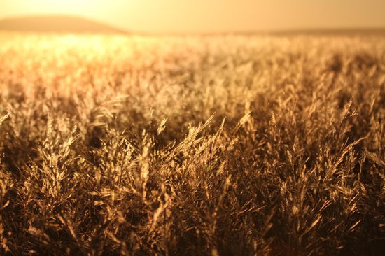 Kleiner Spaziegang zum Sonnenuntergang