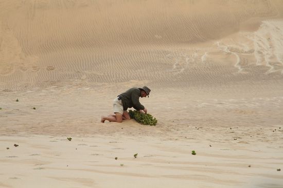 Hier wieder auf der Suche nach Tieren