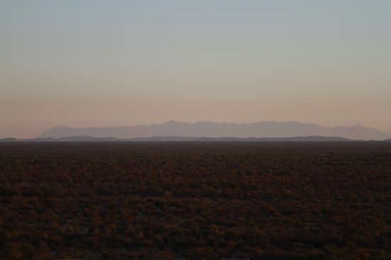 Im Hintergrund der Brandberg, der hoechste Berg Namibias.