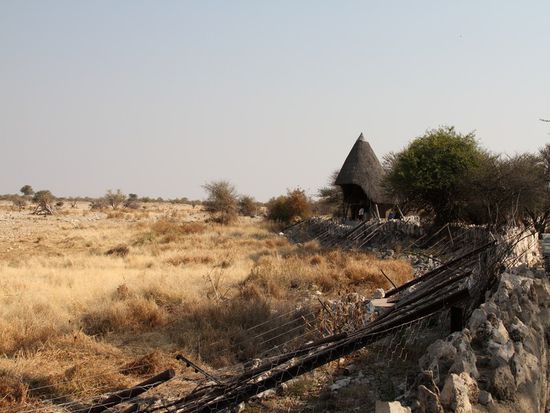 Das ist unser Wasserloch vom Hotel ausgesehen. Direkt von dort aus geht es in die Wildnis.
