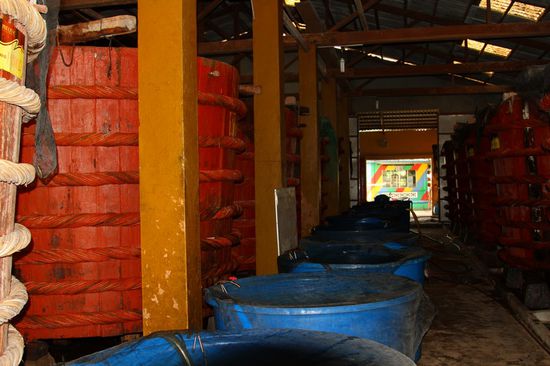 Hier wird, wofuer Phu Quoc sehr bekannt ist, Fischsauce hergestellt.