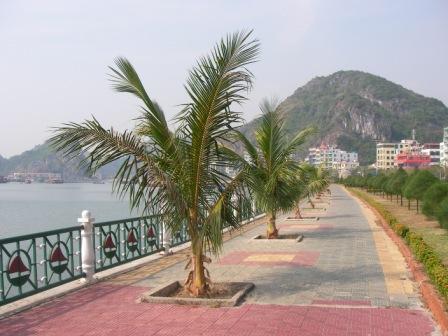 Hafenpromenade Cat-Ba