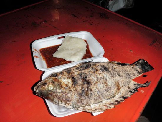 Schaut nicht so appetitlich aus, schmeckte aber wunderbar !!