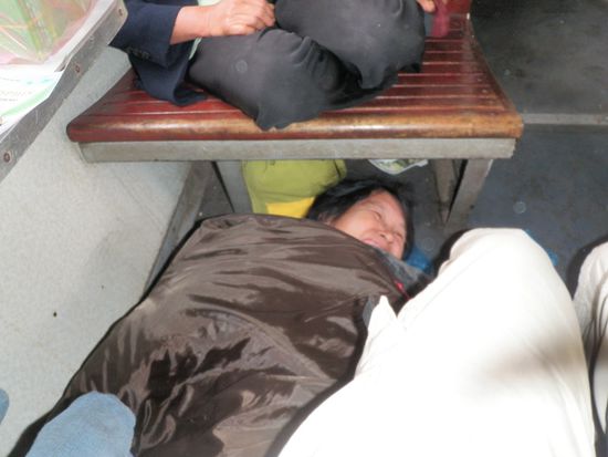 Diese Dame legte sich wegen Muedigkeit gleich zwischen unsere Fuesse.