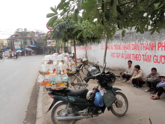 Im Plastiksackerl warten die Fische auf Kaeufer