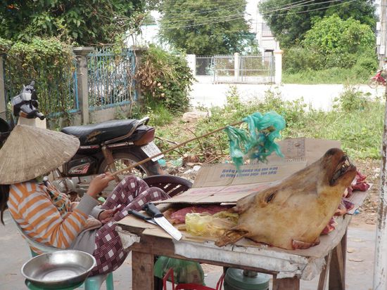 Frisches Rindfleisch !
Mit dem Plastik werden die Fliegen verjagt.