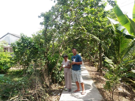 Frisch geerntet und gleich gegessen, eine  Grapefruit schmeckt aber viel suesser als bei uns.