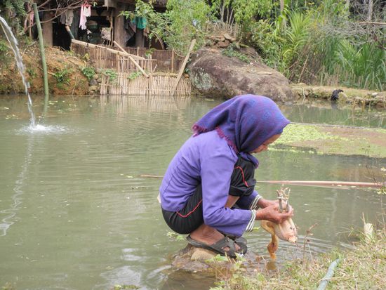 Abendessen wird gewaschen