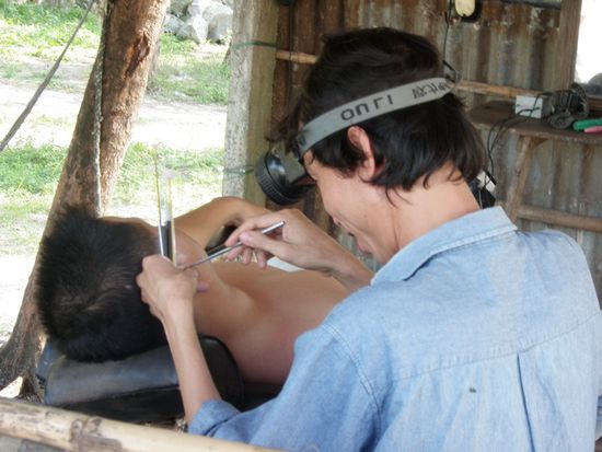 Openair Ohrenarzt und Friseur