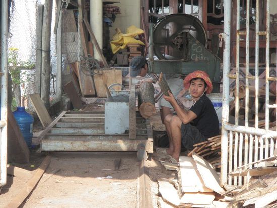 Holzverarbeitender Betrieb