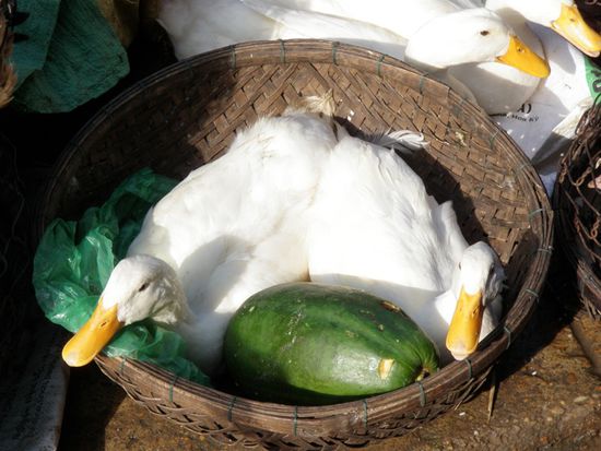 Auf was die wohl warten ??