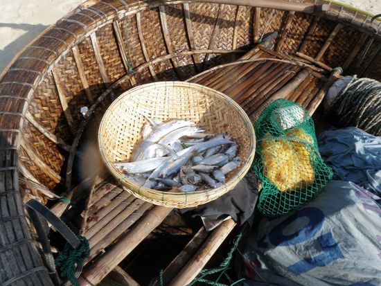 Ausbeute fuer 7 Stunden am offenen Meer, bei 29 Grad.