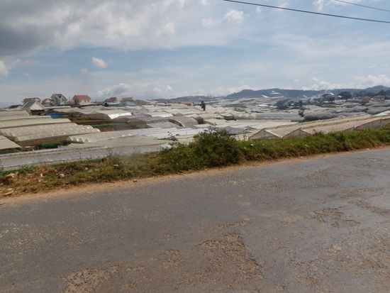 Gewaechshaeuser kurz vor Da Lat
