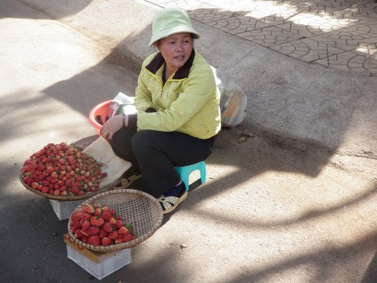 Frische Erdbeeren im Winter