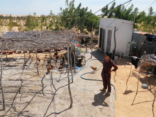 Landwirtschaftsbetrieb