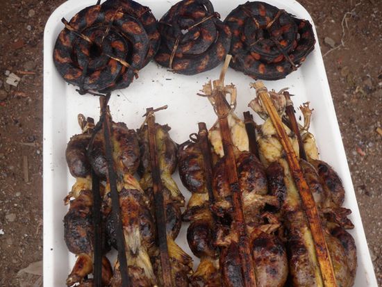 Frosch und Schlange gegrillt !!