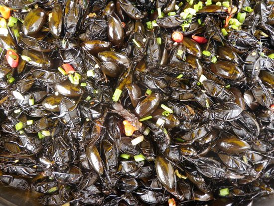 Bei einer kurzen Rast gab es folgende Snacks.
Die hier schauten aus wie Maikäfer, kurz angeröstet und mit Salz und Chili vermengt.