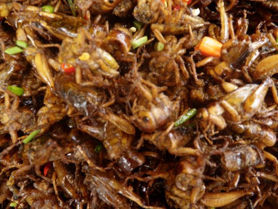 Frittierte Heuschrecken